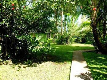 Bonjouir Lodge Paradise Teahupoo Ngoại thất bức ảnh
